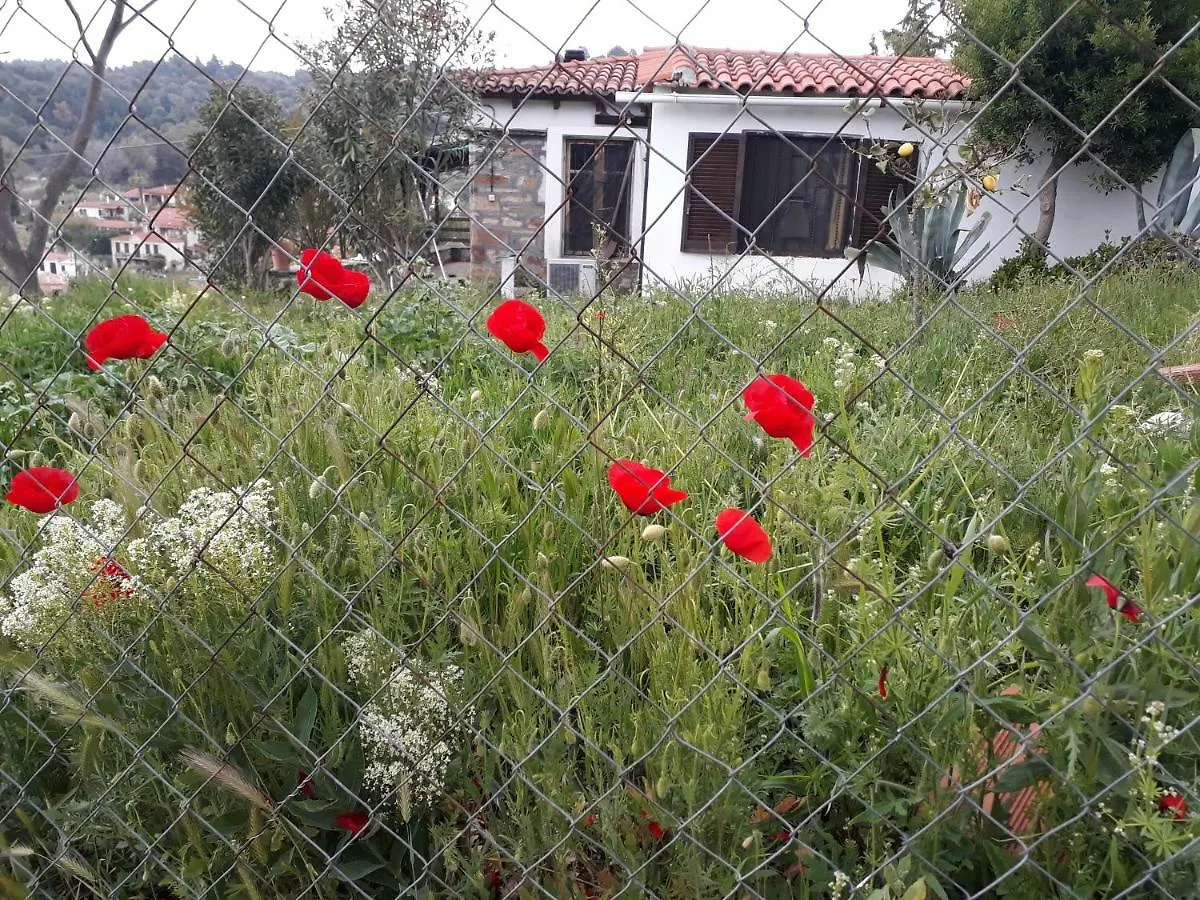 Holiday home The Arthouse Nikiti Villa Greece